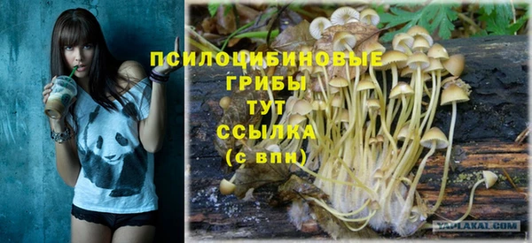 винт Дмитровск