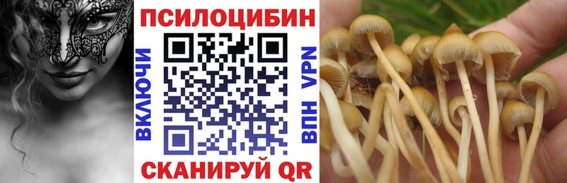 где найти   Калачинск  Псилоцибиновые грибы Magic Shrooms 