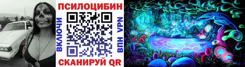 Галлюциногенные грибы Cubensis Калачинск